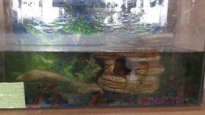 Интересные места в селе Ермаковское.