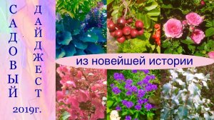 ДАЧНЫЙ ДАЙДЖЕСТ. Неопубликованные видео 2019г. Дачный креатив.