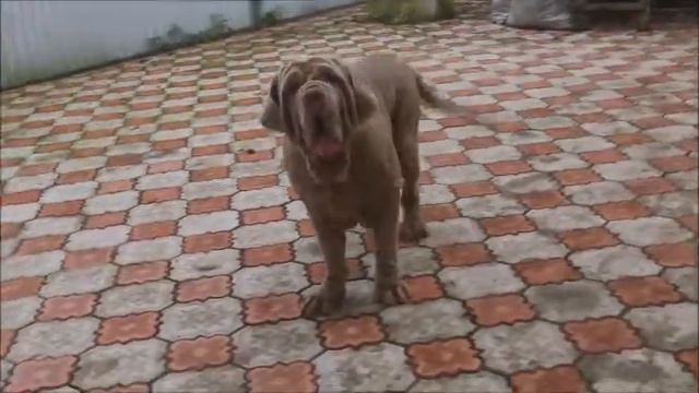 Анвире Женни Лав смотреть онлайн