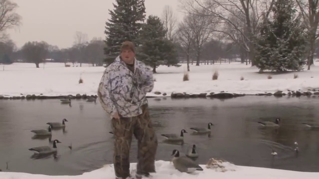 Гусиная охота. смотреть онлайн