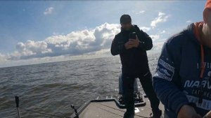 Пелагические сомы , судаки и щуки !!!