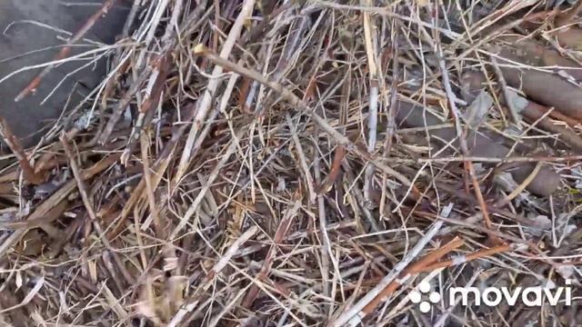 Гриль Домики. Сею морковь. Мульча для Малины. смотреть онлайн