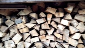 Чем топить котел? Лучшие дрова для твердотопливного котла