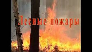 Лесные пожары!