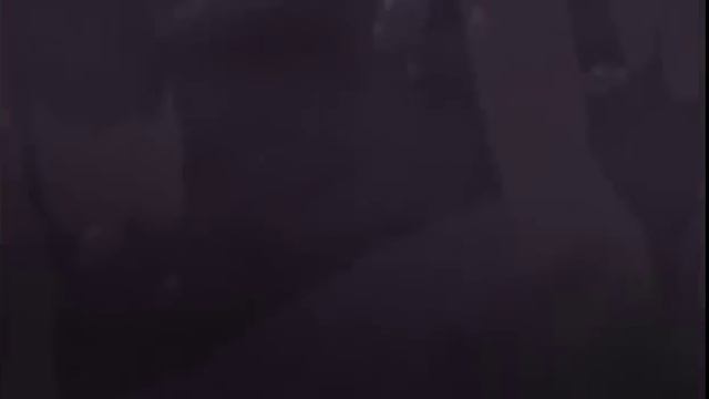Обзор на аниме Кровь С