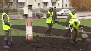 Цветы... по осени сажают