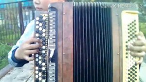 Народная татарская песня (Аерылымагыз). На Баяне.
