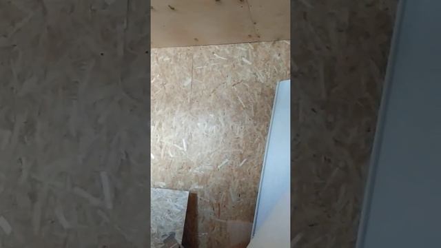 Внутренняя отделка имитацией бруса смотреть онлайн