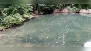 Где находится Юсуповское озеро в Крыму?