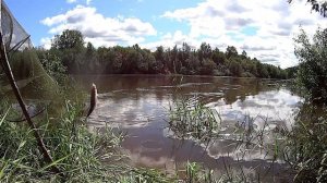 Зарисовки о рыбалке: Рыбалка в Июле на реке Яйва