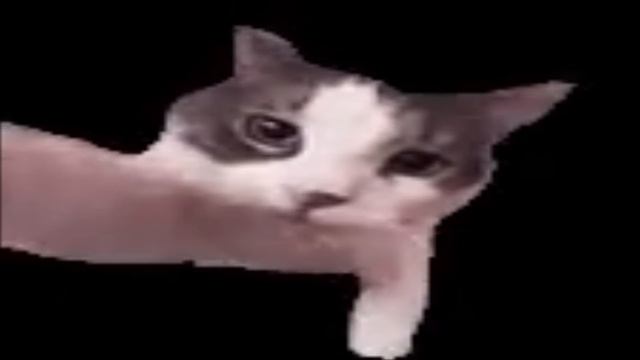 ИВЕНТ который ХОРОШ на 99% (STALCRAFT) смотреть онлайн