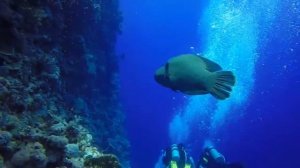 Дайвинг сафари, Египет, Дальний юг