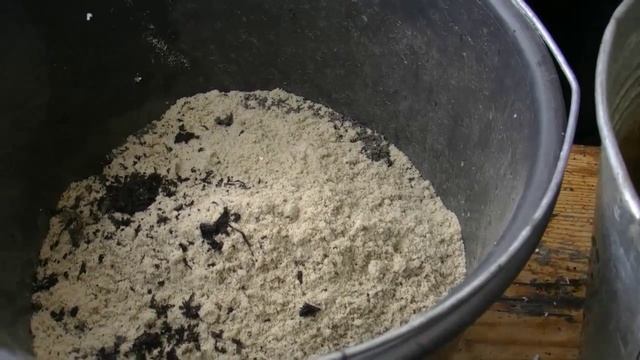 Пересадка куста инжира смотреть онлайн