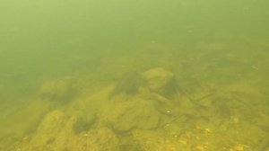 Блесна с октопусом съемка в воде.