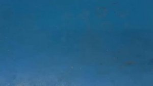 Жидкий пластик своими руками.