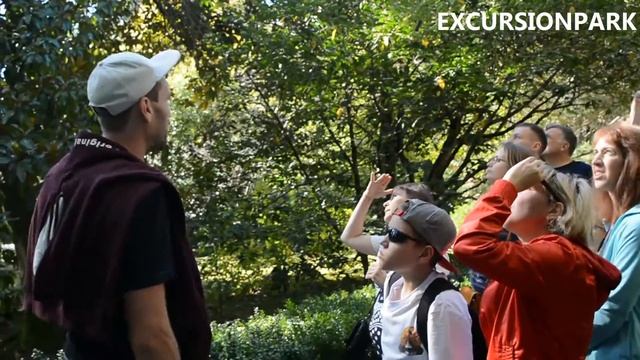 Экскурсия по Дендрарию Сочи с гидом для детей и взрослых