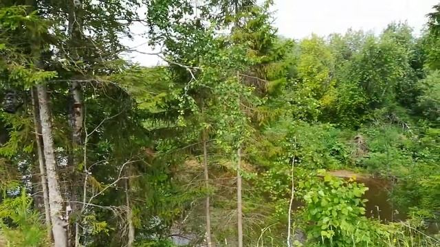 Река Сива?️?️ смотреть онлайн