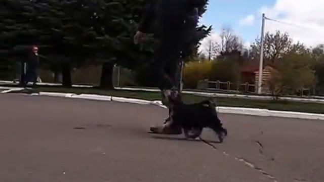 BERENICE STAR MONAMOUR смотреть онлайн