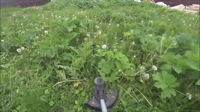 Как скосить высокую траву на даче, чем косить траву на даче женщине.