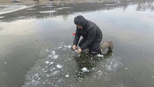 Зимняя рыбалка / Рыбалка зимой на жерлицы на щуку / Учусь ловить щуку на жерлицы ,первый лед