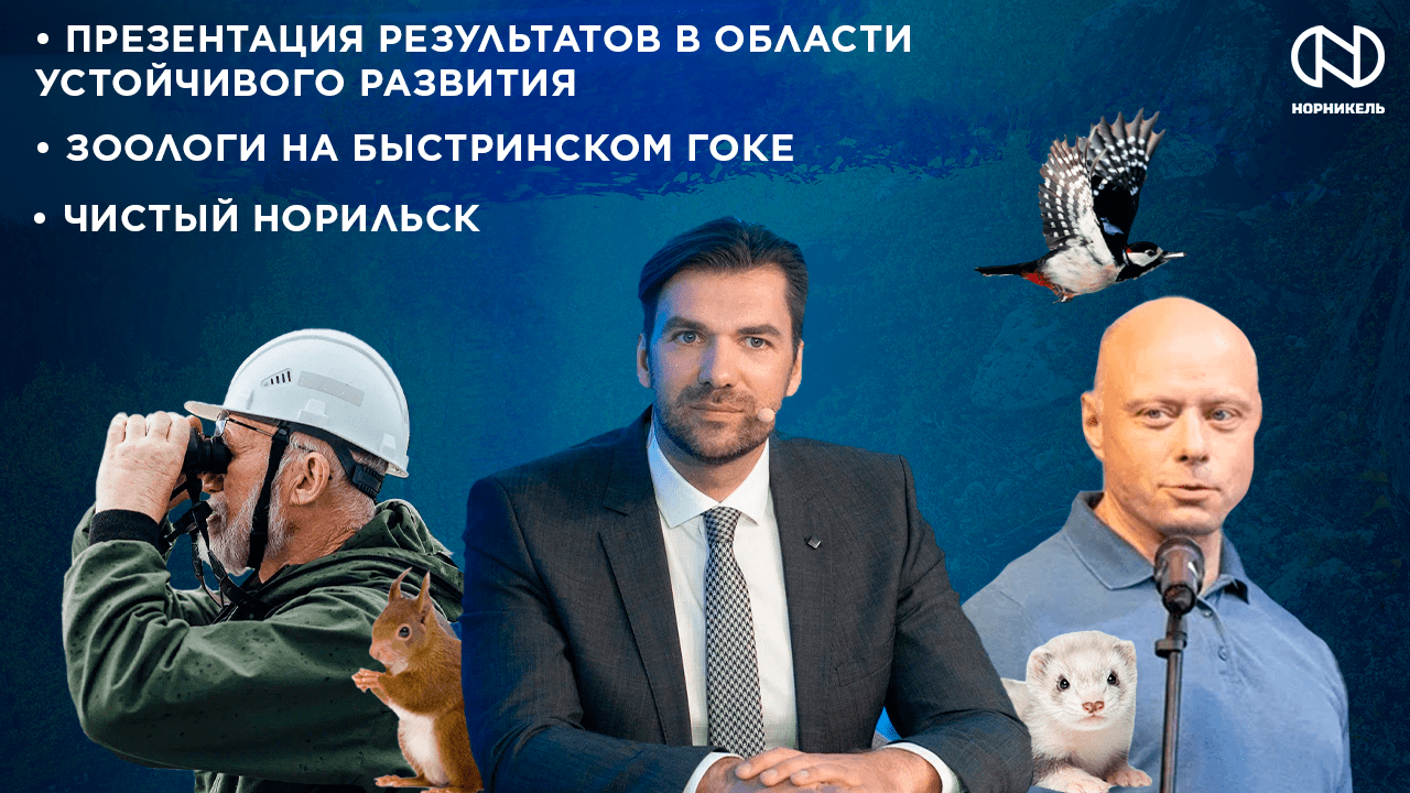 Зоологи на Быстринском ГОКе, Презентация Результатов в области устойчивого развития, Чистый Норильск