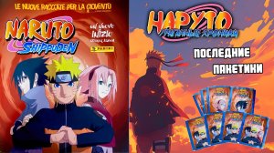 PANINI Наруто. Ураганные хроники ("Naruto Shippuden") Выпуск 5