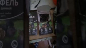 Трюфель в домашних условиях