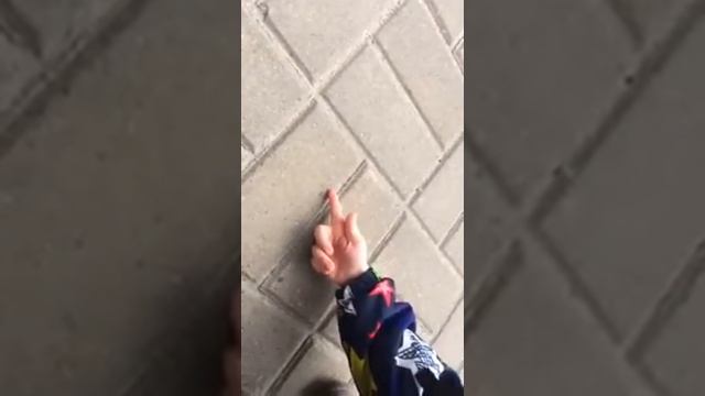 06.05.2018, Казань, ловим жуков, собираем шишки?