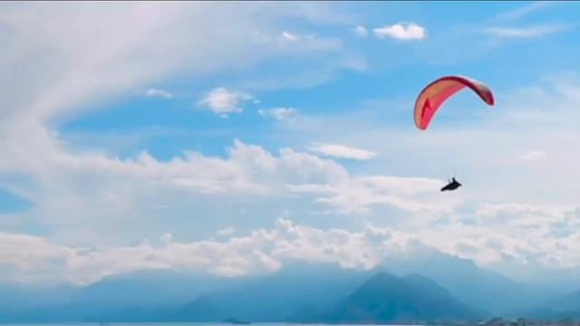 I found best budget Phalaenopsis iPhone cases on Ali express | 4.51$ смотреть онлайн