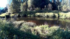 Одиночный поход.Поиск урочища на реке Керженец .