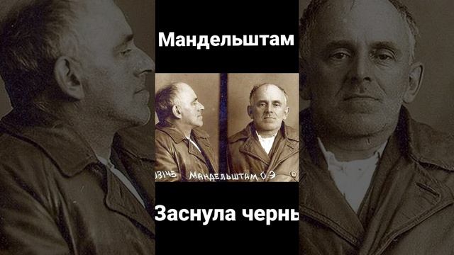 Мандельштам «Заснула чернь»