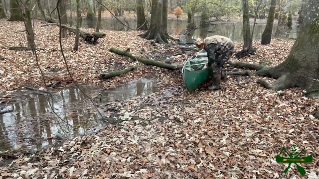 Hunting deer in my canoe in a Mississippi swamp смотреть онлайн