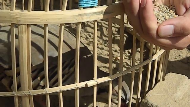 Nikon L120 HD muvee (Chakor) смотреть онлайн