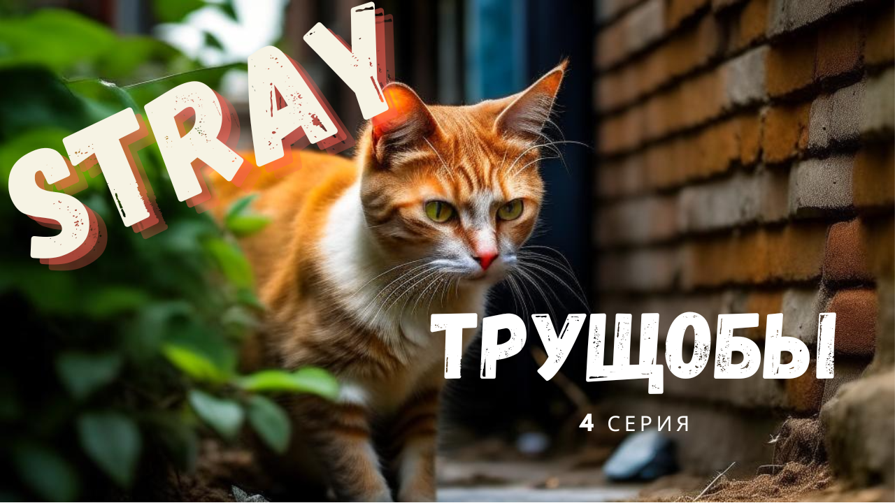 Stray 4 Трущобы - Знакомство с Аутсайдером Момо -- Stray 4 Slums