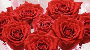 С днем рождения,подруга - Этот день только твой!