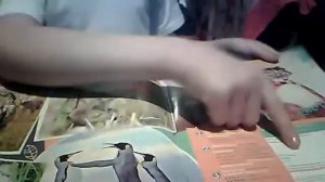 ОБЗОР на мой журнал ВЕСЁЛЫЕ ЖИВОТНЫЕ