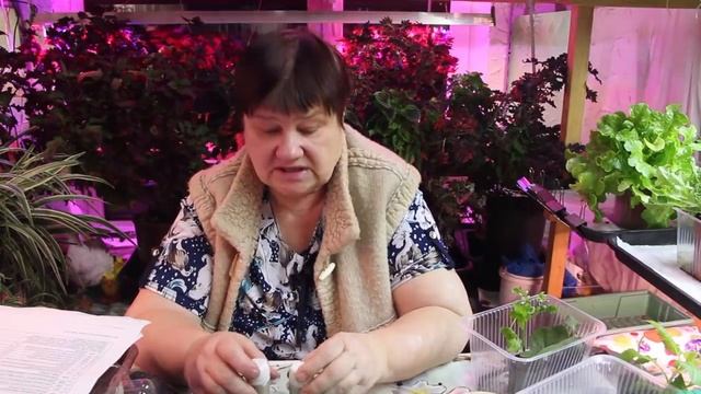 Мне не жалко! Конечно, поделюсь информацией! Ведь многие спрашивали смотреть онлайн