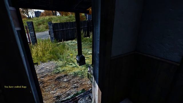 DayZ - Testing ReShade смотреть онлайн