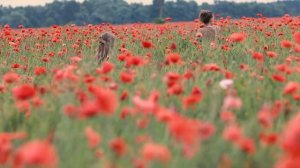 Лучшие места Беларуси, которые стоит показать детям