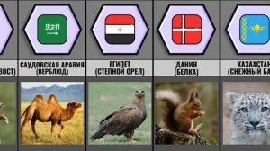 Животные символы разных стран мира