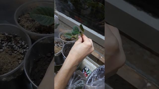 🏕🏖 смотреть онлайн