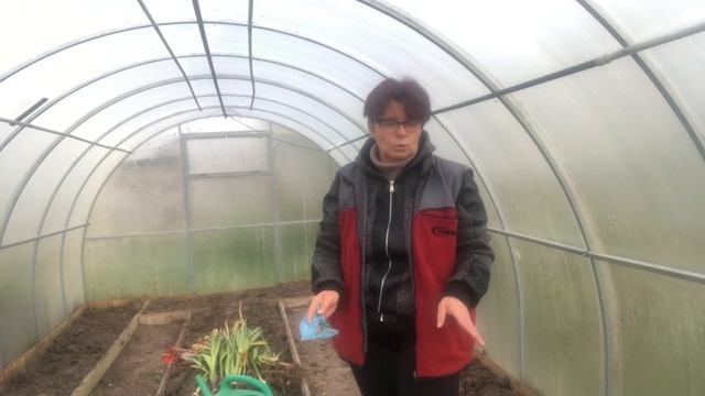 Обработка теплицы медным купоросом осенью! смотреть онлайн