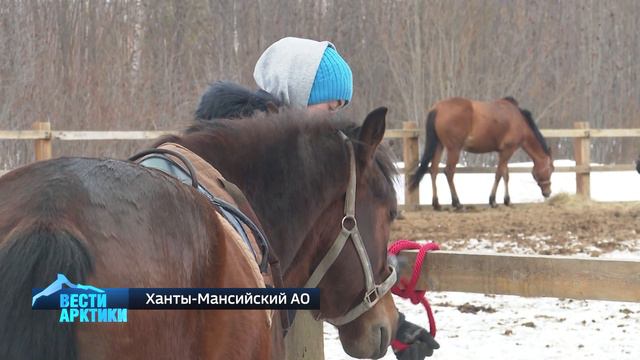 «Верхом под солнцем». В Югре особенные дети проходят реабилитацию ездой на лошадях смотреть онлайн