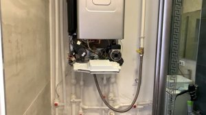 Замена циркуляционного насоса газового котла Ремонт котла protherm двухконтурный котел 24 кВт