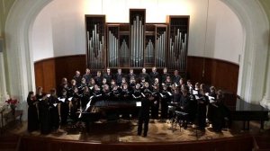 Я. Дубравин - "За село Синявино"