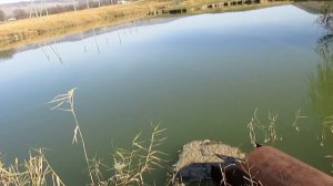 Ушел от нуля с поплавком. в ноябре 21