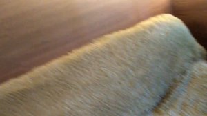 ВСТРОЕННАЯ МЕБЕЛЬ И ЛАМИНАТ НА СТЕНЫ LAMINATE WALL DESIGN HANDMADE