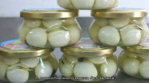 Репчатый лук на зиму в банках: как правильно засолить