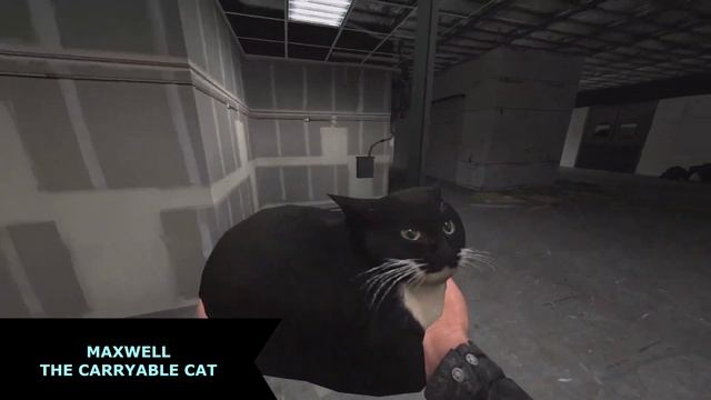 10 ОТЛИЧНЫХ МОДОВ ДЛЯ GARRY’S MOD ! смотреть онлайн