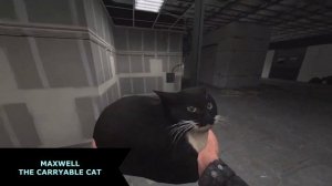 10 ОТЛИЧНЫХ МОДОВ ДЛЯ GARRY’S MOD !